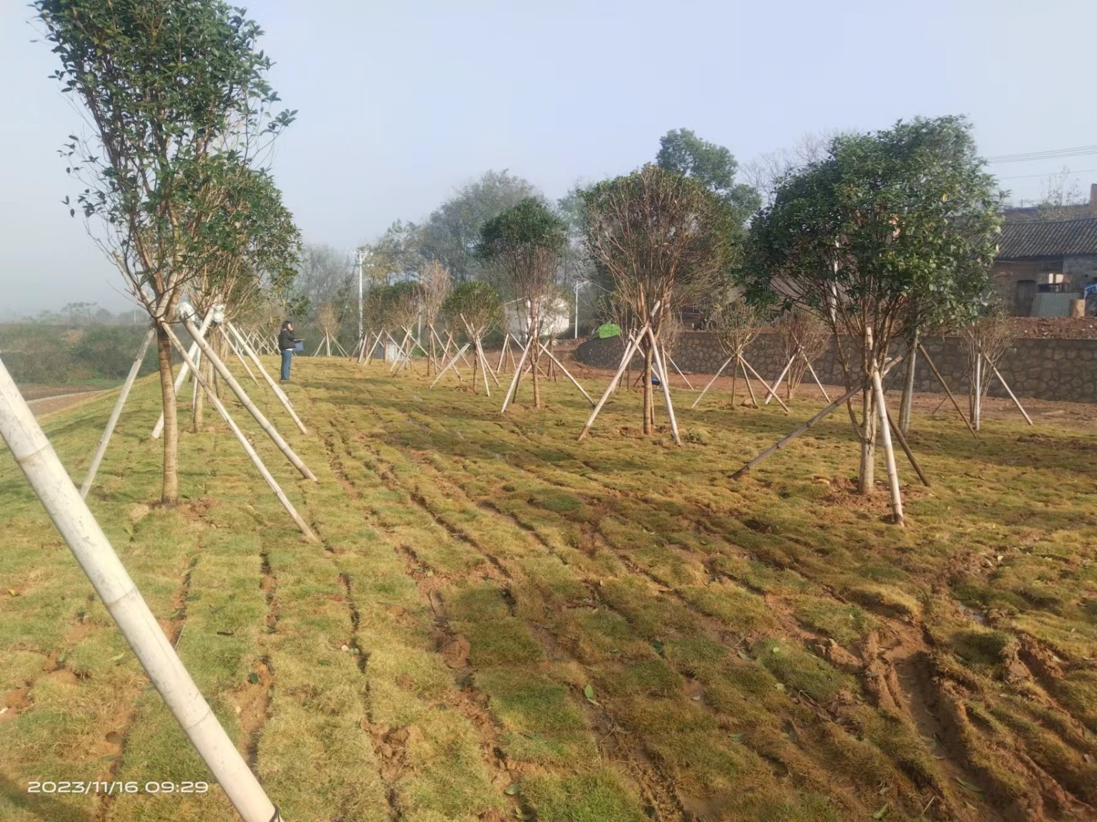 大悟縣2022年度大中型水庫移民后期扶持移民美麗家園創(chuàng  )建提升項目.jpg